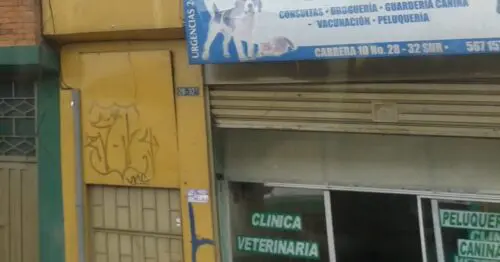 CLINICA VETERINARIA POPULAR CLINICA VETERINARIA POPULAR